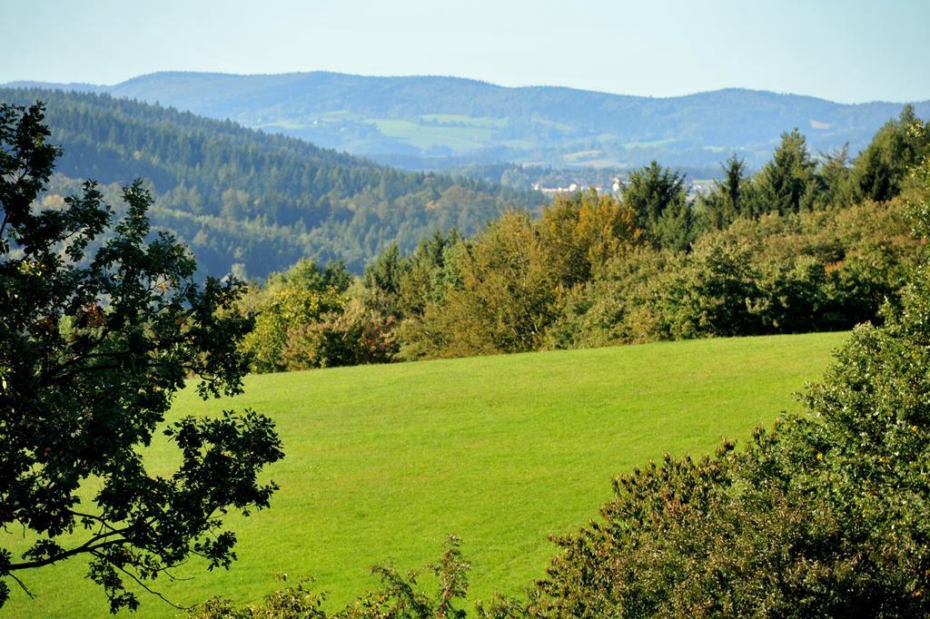 Apartman Na Bubnu Náchod Kamer foto